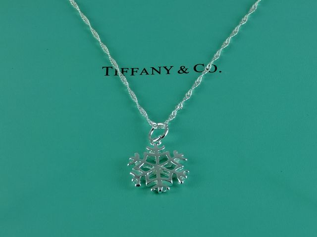 tiffany Necklace-351
